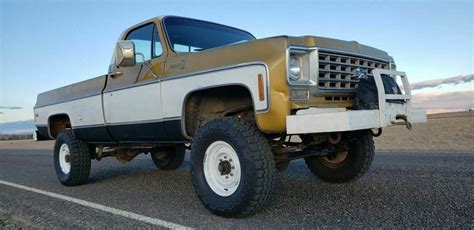 Runs and drives but been off the road for last decade. . 1976 chevy truck for sale craigslist